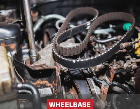 The Ultimate Guide To Peugeot Wet Timing Belt Issues Wheelbase Garage