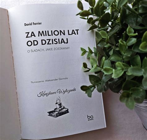 Co Zostanie Za Milion Lat Od Dzisiaj O Ladach Kt Re Zostawiamy