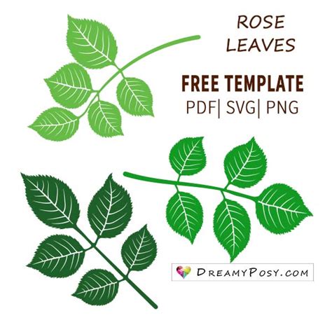 Branches Svg Pdf Png Dxf Paper Flower Leaves Svg Rose Leaves Template