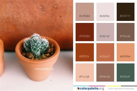 Forest Green Nature Color Palette | colorpalette.org