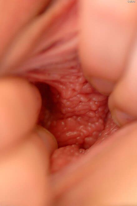 Assorted Christie Caudill S 13 2 Porn Pic