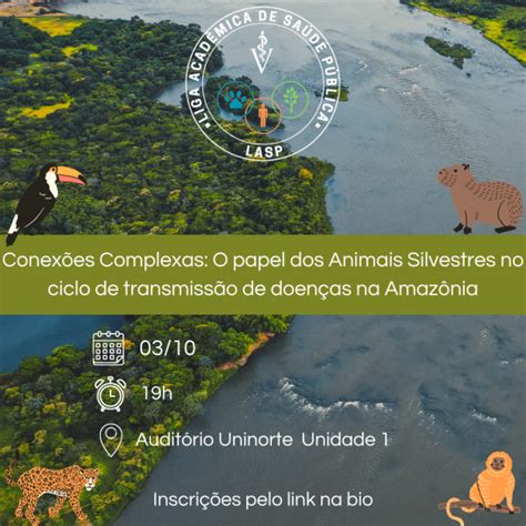 O Papel Dos Animais Silvestres No Ciclo De Transmiss O De Doen As Na