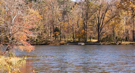 Lake Lincoln Photograph By Sandy Keeton Fine Art America