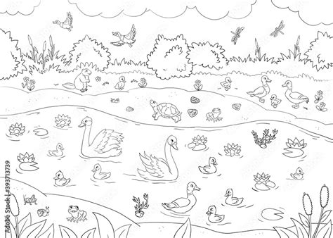 horizontal coloring book page with river plants, animals and birds Stock Illustration | Adobe Stock