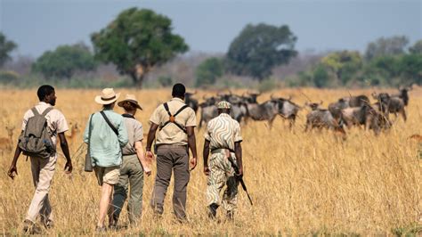 Top Walking Safari Destinations In Africa East Africa Wildlife Tours