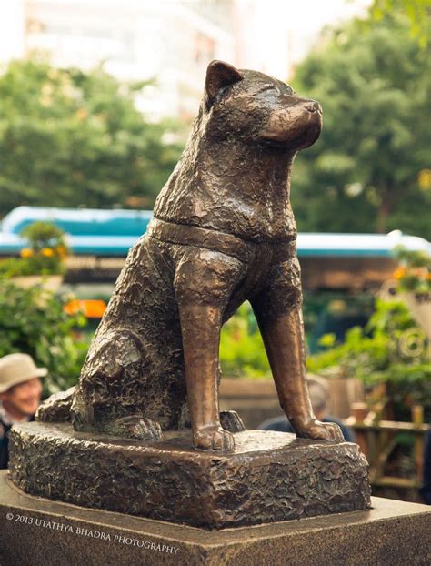 Hachiko Statue Shibuya Tokyo This Is A Statue Of A Dog Who Always