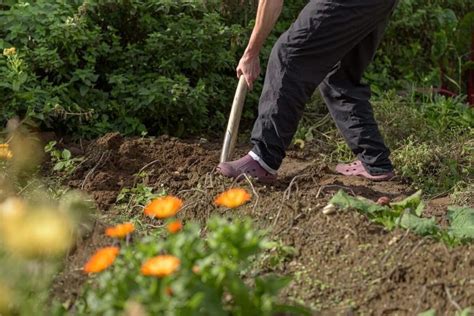 Comment Labourer La Terre De Son Jardin Parlons Habitat