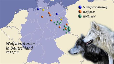 Wildtiere W Lfe In Deutschland Wildtiere Natur Planet Wissen