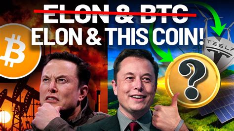 Elon Musk Loves Bitcoin No He Loves This Altcoin Youtube