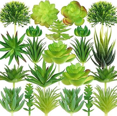 Amazon Woohome 10 PCS Artificial Succulent Plants Blue Fake