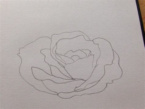 So zeichne ich eine Rose - Monika Kunze Wie-malt-man.de Zeichnen lernen
