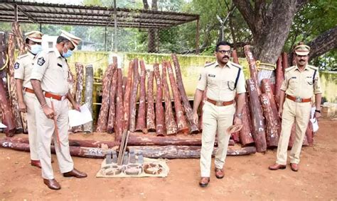 Kadapa Red Sanders Smugglers Held