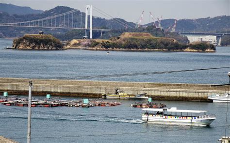 能島村上水軍「能島城跡」