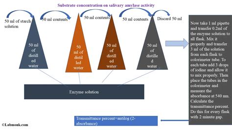 Study the Effect of Substrate Concentration on Salivary Amylase Activity - Labmonk