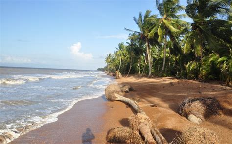 Guyana Unveiled: Sun, Sand, and Serenity Along the Atlantic ...