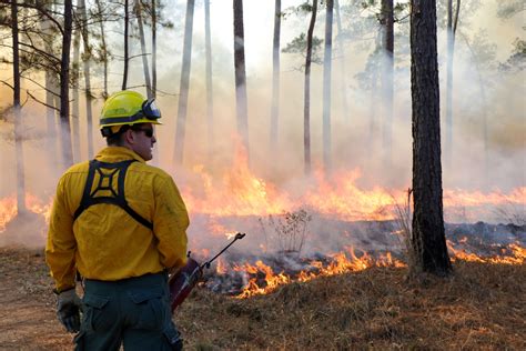 Prescribed Burn Associations - West Texas Rangelands
