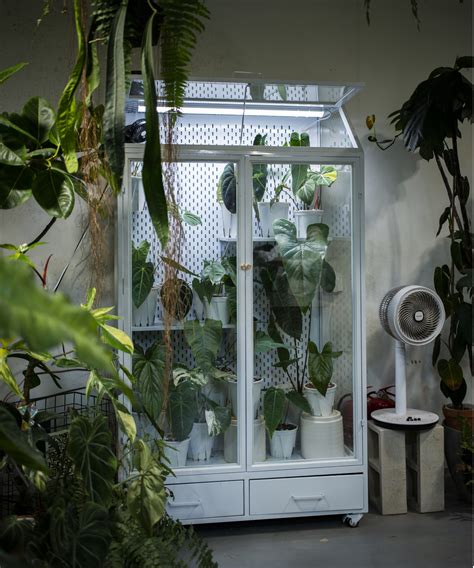 Indoor greenhouse ideas: 4 DIYs to grow plants in your home | Homes & Gardens