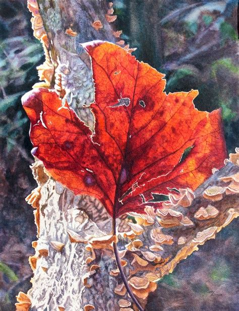 Red Autumn Leaf Watercolor Painting Print By Cathy Hillegas Autumn