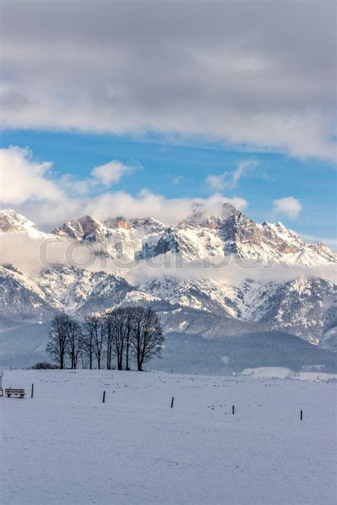 Snowy Mountains Meadow And Trees Stock Image Colourbox