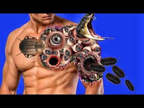 ASMR Animation Treatment from Trypophobia infected satisfying Form hand.| - YouTube