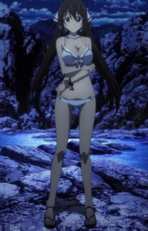 Houki Shinonono Sexy Hot Anime And Characters Wallpaper 37244209 Fanpop