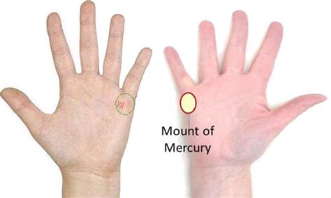 The mount of Mercury | Mercury in hand
