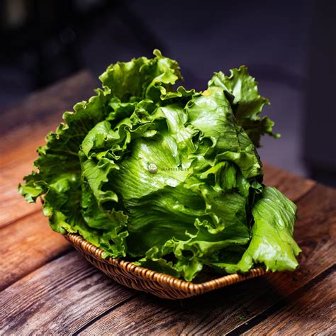 Iceberg Lettuce 500G± - Fresh and Crisp – IWantVeggies