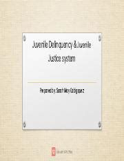 Understanding Juvenile Delinquency Justice Systems Course Hero