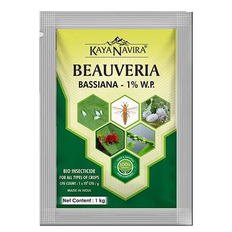 KAYA NAVIRA Beauveria Bassiana 1 W P Powder 1 Kg For Plants