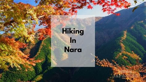 Where To Go Hiking In Nara Discover The Beauty Of Nature In Nara