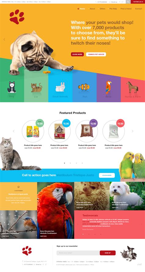 Website Design Layout Website Design Inspiration Layout Design Web