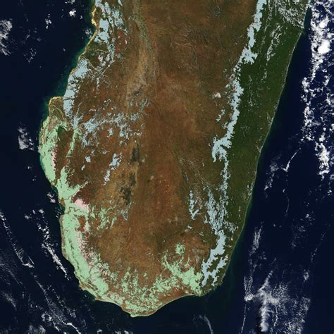 Notes From Madagascar: Heat, Lemurs, Biodiversity and Deforestation