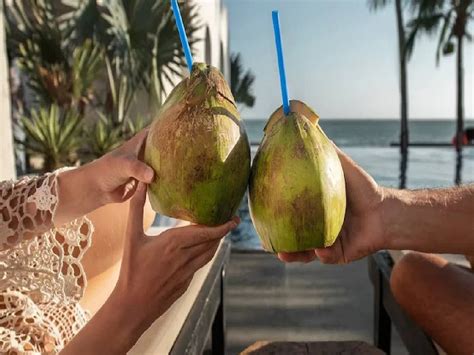 दररोज नारळ पाणी प्या अन् वजन कमी करा कसं ते जाणून घ्या Coconut Water