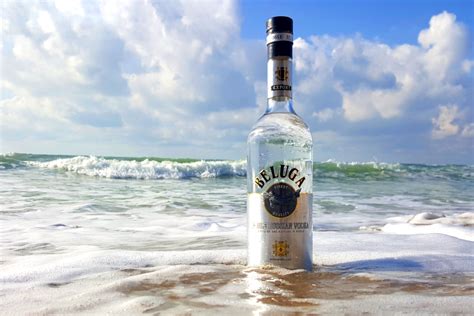 Russian vodka and running shoes – here are all the gifts declared by ...