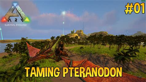 PETUALANGAN SERU DAN TAMING PTERANODON ARK PRIMAL FEAR YouTube