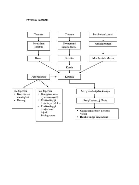 Pathway Katarak Pdf