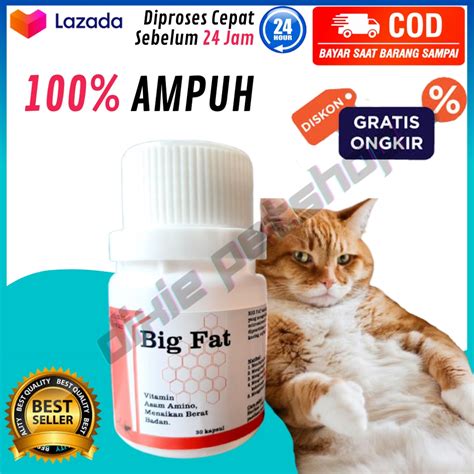 Jual TERLARIS BIG FAT Vitamin Penggemuk Kucing BIG FAT Vitamin