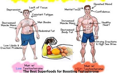 The Best Superfoods For Boosting Testosterone