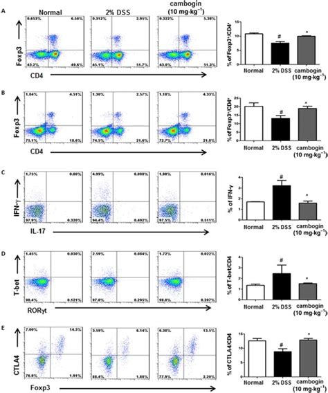 FOXP3 Antibody (Monoclonal, FJK-16s)