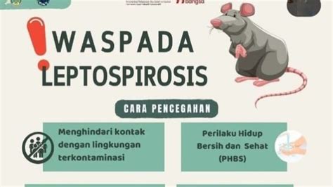 Waspadai Penyakit Leptospirosis Pasca Banjir Di Kabupaten Probolinggo