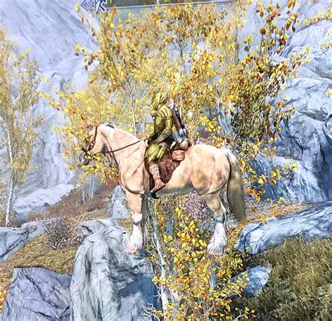 [ The Elder Scrolls V: Skyrim ] When you ride your horse off of a cliff