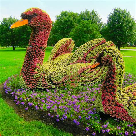 Топиарные фигуры (74 фото) » НА ДАЧЕ ФОТО