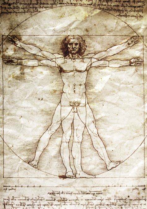 'Da Vinci's Ghost' Lives On In The Vitruvian Man | WBUR News