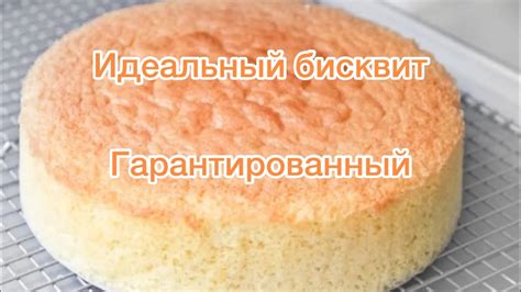 Бисквит. Гарантированный рецепт. Идеальный бисквит #секретбисквита ...