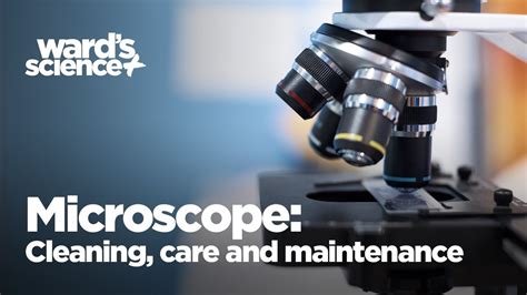 Microscope Cleaning Care And Maintenance Tips To Keep Your Scopes In Tip Top Shape Youtube