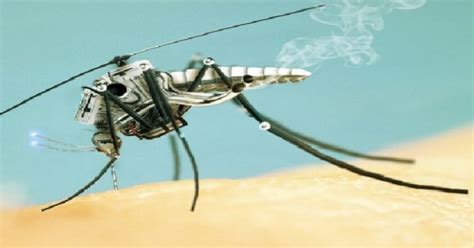 Futuristic tiny drones to see the world just like an insect does ...