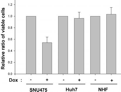 Inducible Expression Of Target Genes Using Lentivirus Mediated Tet On