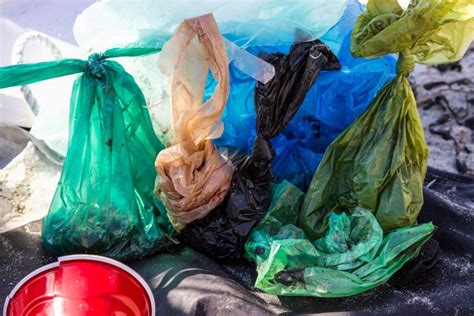 Heres Why Plastic Bags Should Be Banned Environment Co