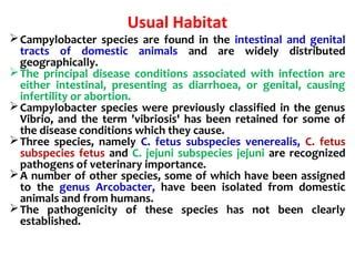 Genus Campylobacter Ppt