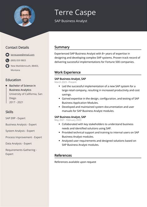 SAP Business Analyst CV Examples Template 20 Tips